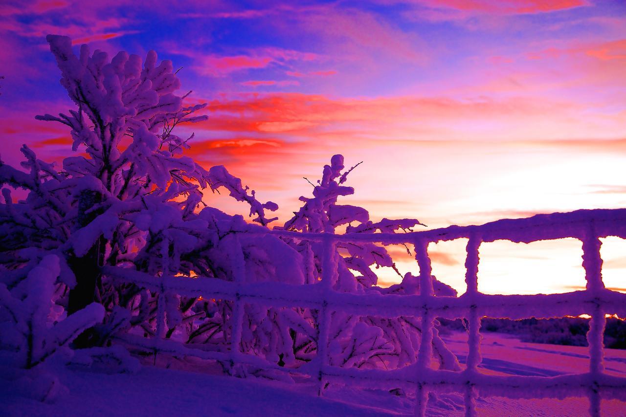 Cottage Lavkavann Finnmarksvidda Skoganvarre Екстериор снимка